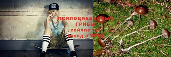 a pvp Алзамай