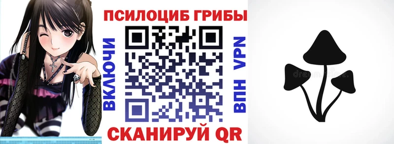 Псилоцибиновые грибы MAGIC MUSHROOMS  Цимлянск 